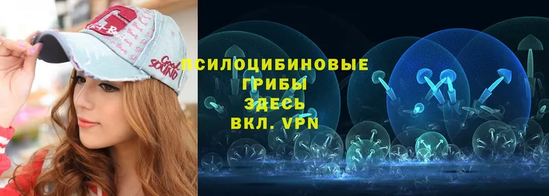 Галлюциногенные грибы GOLDEN TEACHER  OMG маркетплейс  Чусовой 